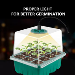 Household New Nursery Pot With Lamp - Gardening Grow