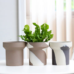 Creative Clashing Ceramic Succulent Fern Tuber Planters - Gardening Grow