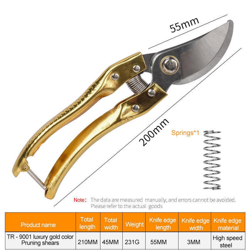 Pruning fruit trees pruning branches garden scissors - Gardening Grow