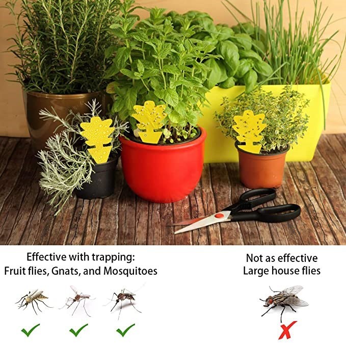 Double-sided waterproof sticky pest control board - Gardening Grow