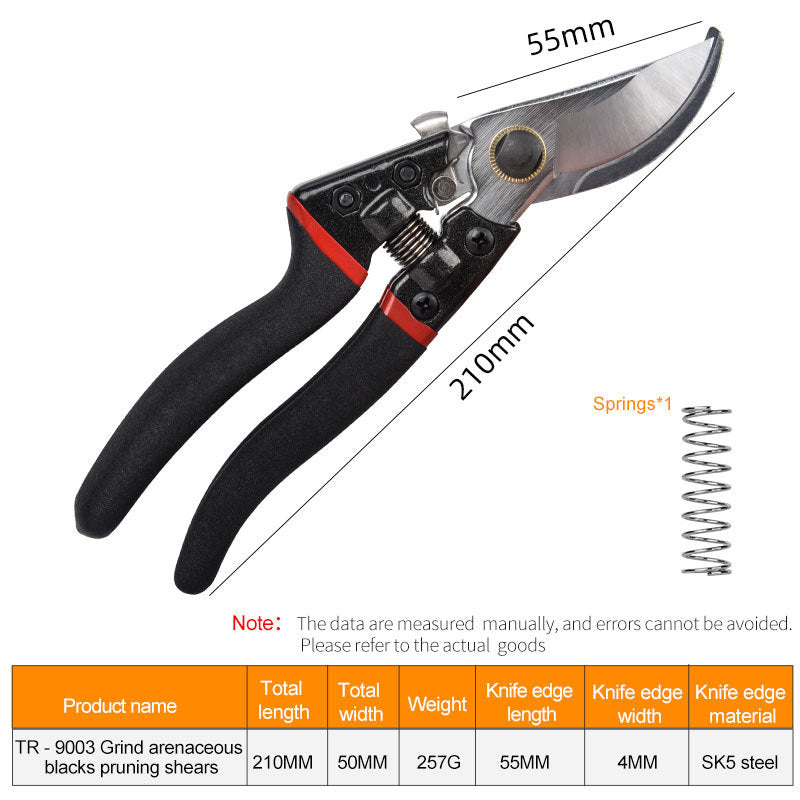 Pruning fruit trees pruning branches garden scissors - Gardening Grow