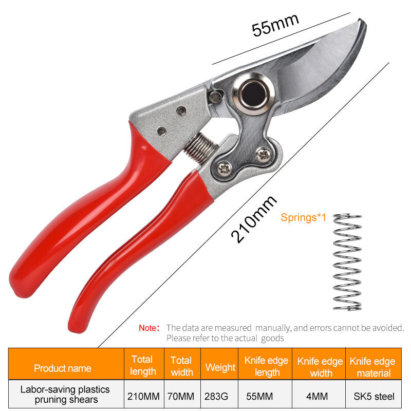 Pruning fruit trees pruning branches garden scissors - Gardening Grow