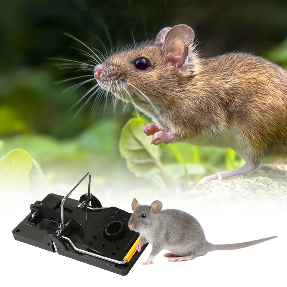 Rat Capture Rat Traps Durable Mouse Traps For Household Home&Living Pest Control Bait Snap - Gardening Grow