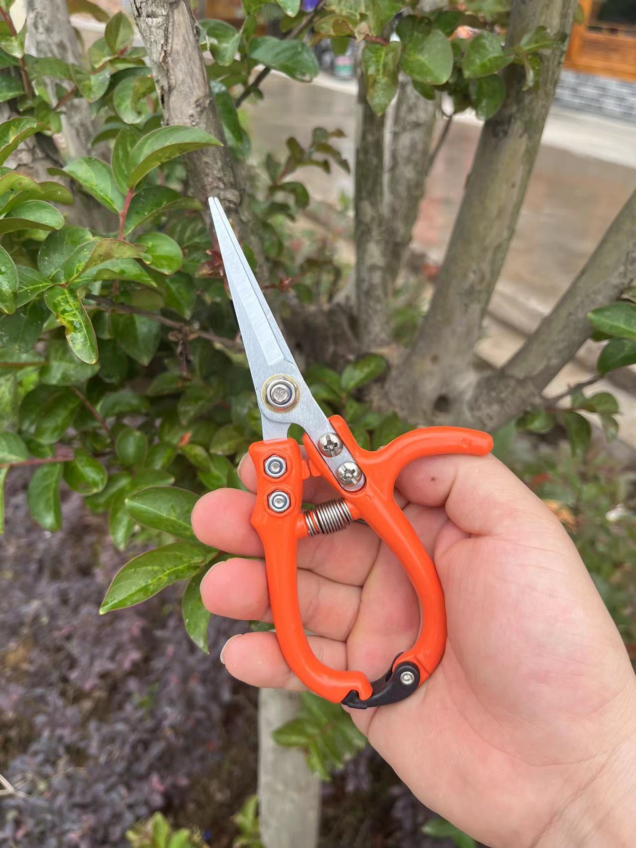 Multifunctional Garden Scissors Pruning Shears Manual With Safety Buckle Stainless Steel Spring Gardening Pruning Shear Branch Plant Cutter - Gardening Grow